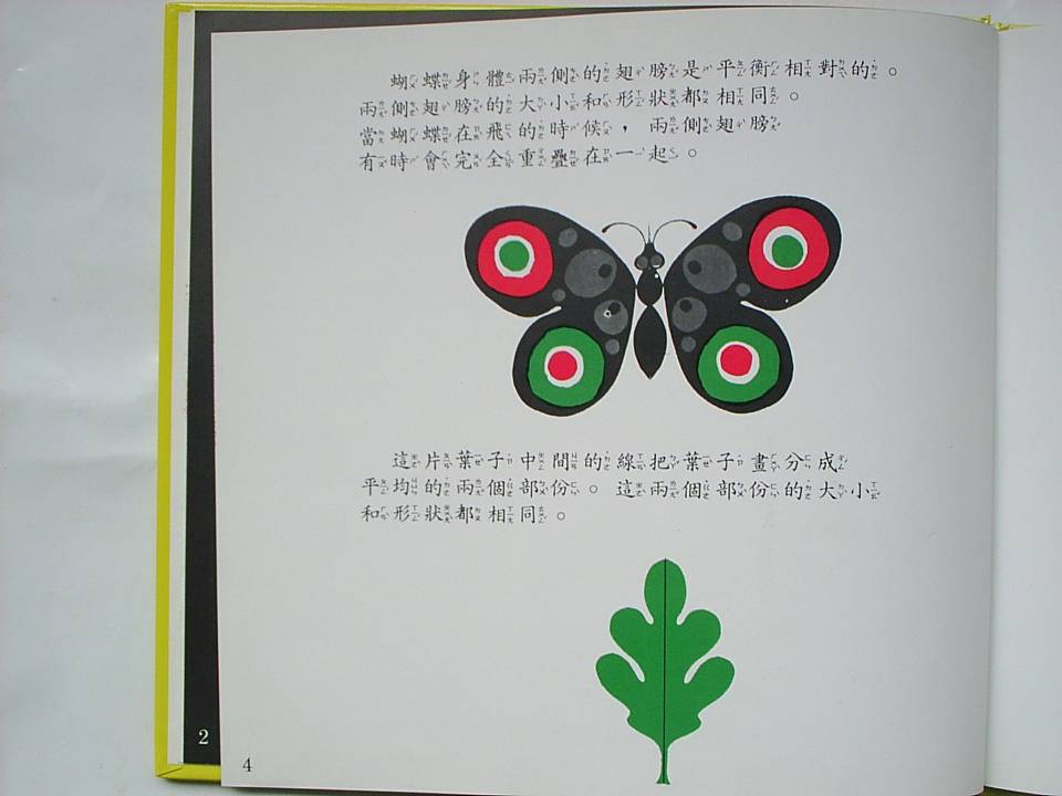 什麼是對稱 (07),绘本,绘本故事,绘本阅读,故事书,童书,图画书,课外阅读
